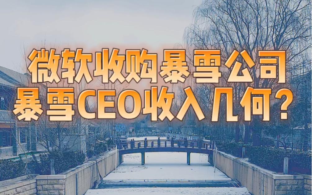 微软收购暴雪公司,暴雪ceo收入几何?