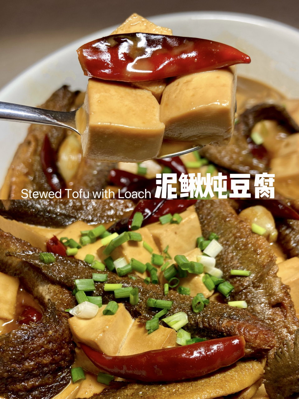 泥鳅做法|红烧泥鳅炖豆腐|年夜饭下饭菜 泥鳅又被称作"水中人参",含有