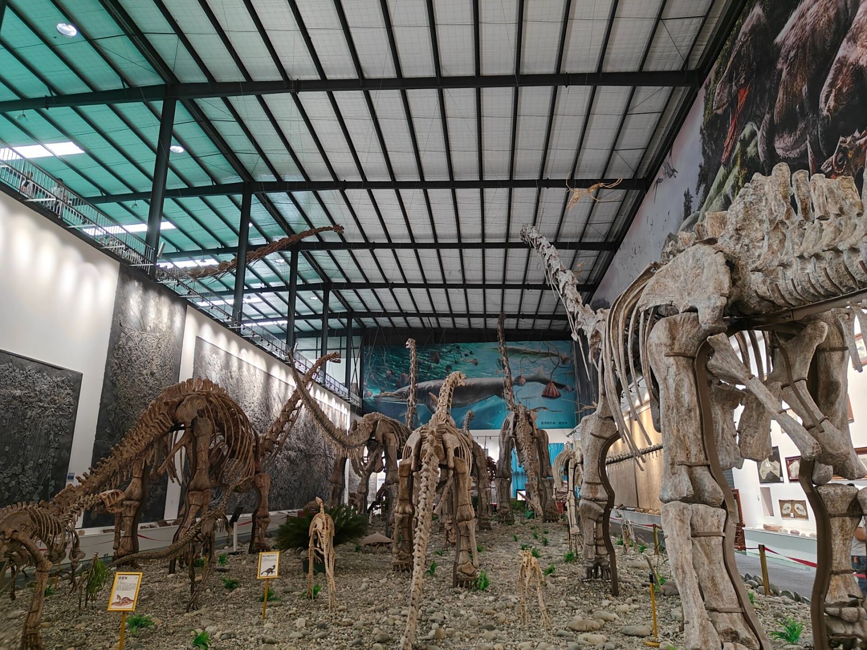 崇州天演博物馆 博物馆在一个修车工厂附近,值得一刷.