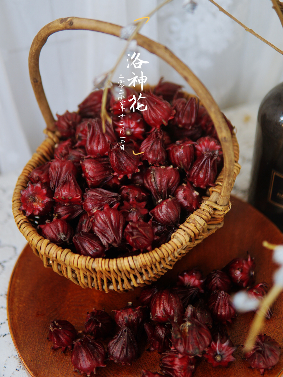 自制洛神花酒|泡一瓶酸甜的小花酒过冬94 嚯嚯嚯泡酒狂魔艾扣酱再次