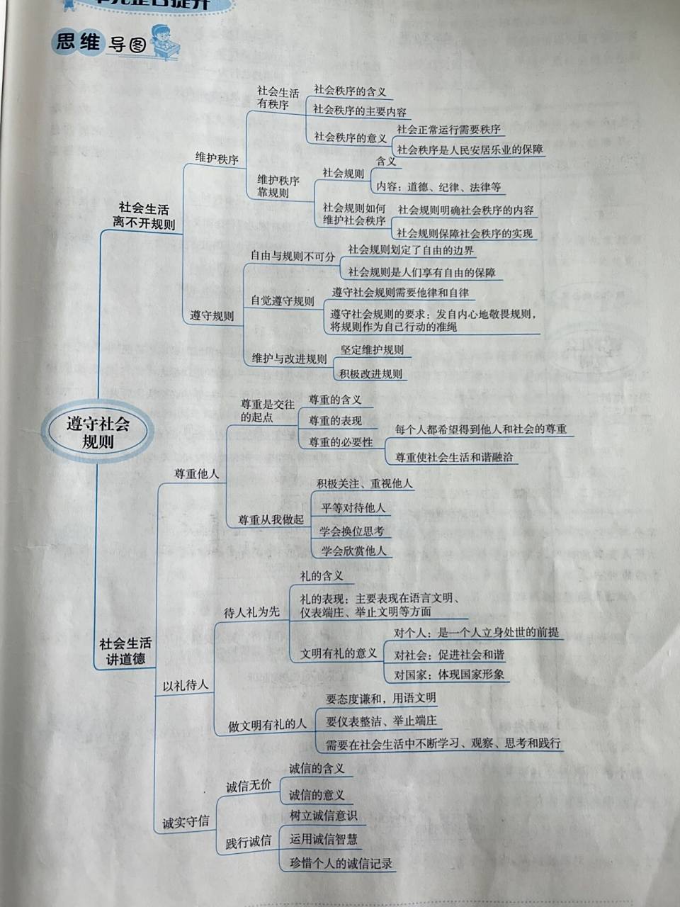 道法八上第二单元《遵守社会规则》复习归纳