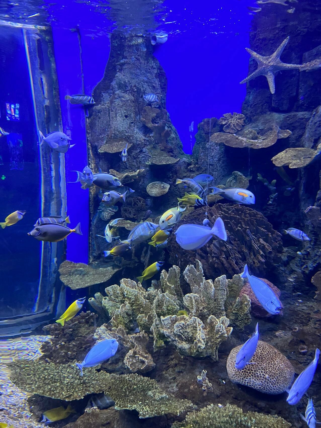 在福州|暑假必玩之左海海底世界98