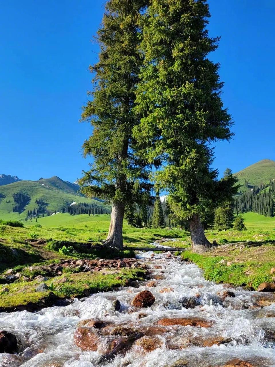 美图种草# 反向旅游之新疆新源县,不输#阿勒泰# !