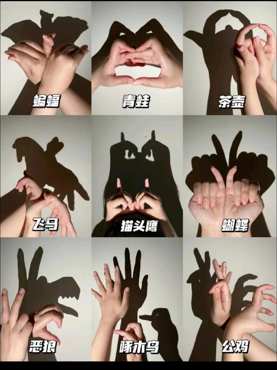 趣味儿童影子手势,快和小朋友玩起来吧 有没有一秒回到童年的感觉