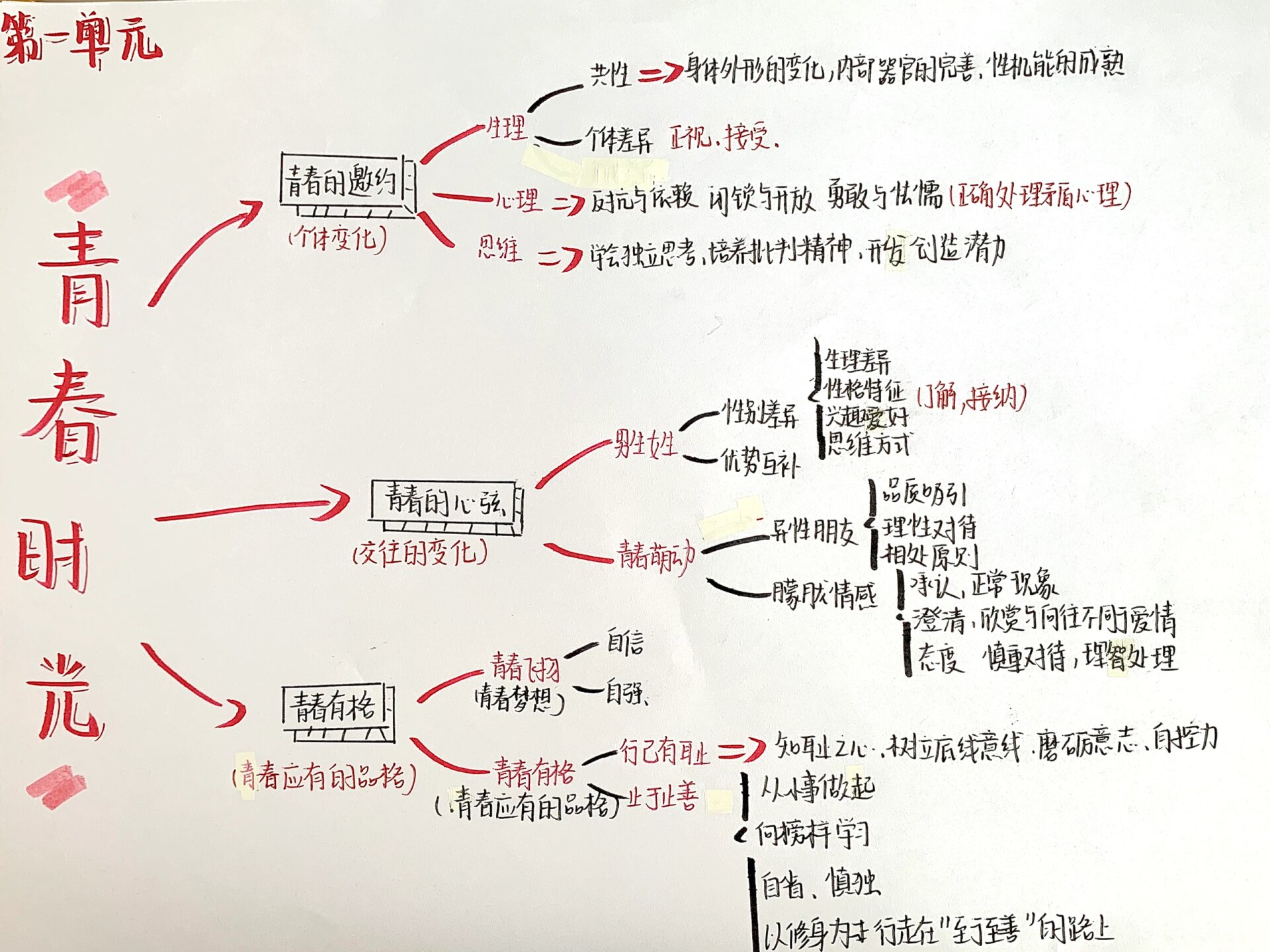 七下思维导图第一单元图片