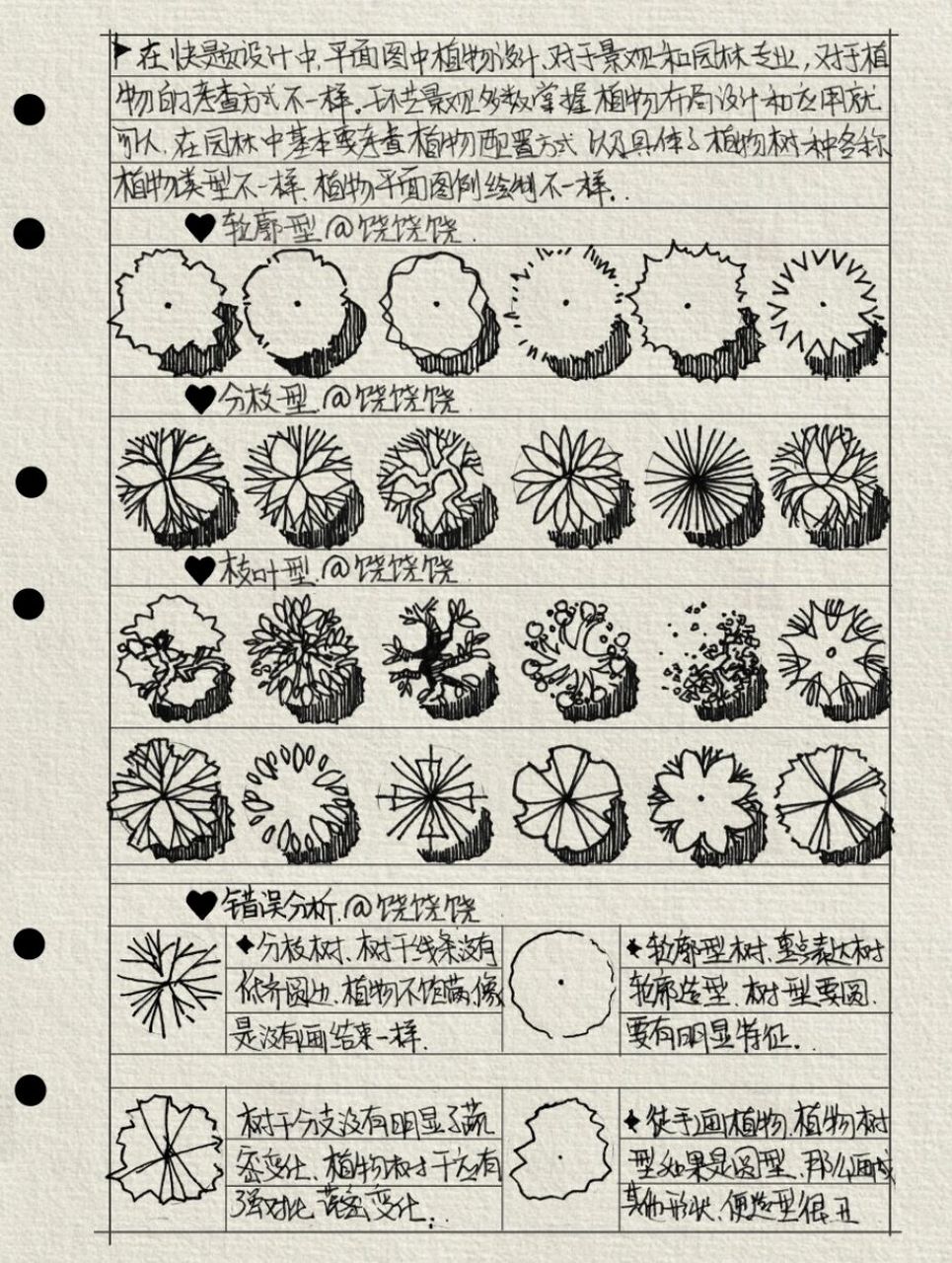 植物详细图例画法和易错点笔记整理 94树木的平面表示可先以树干