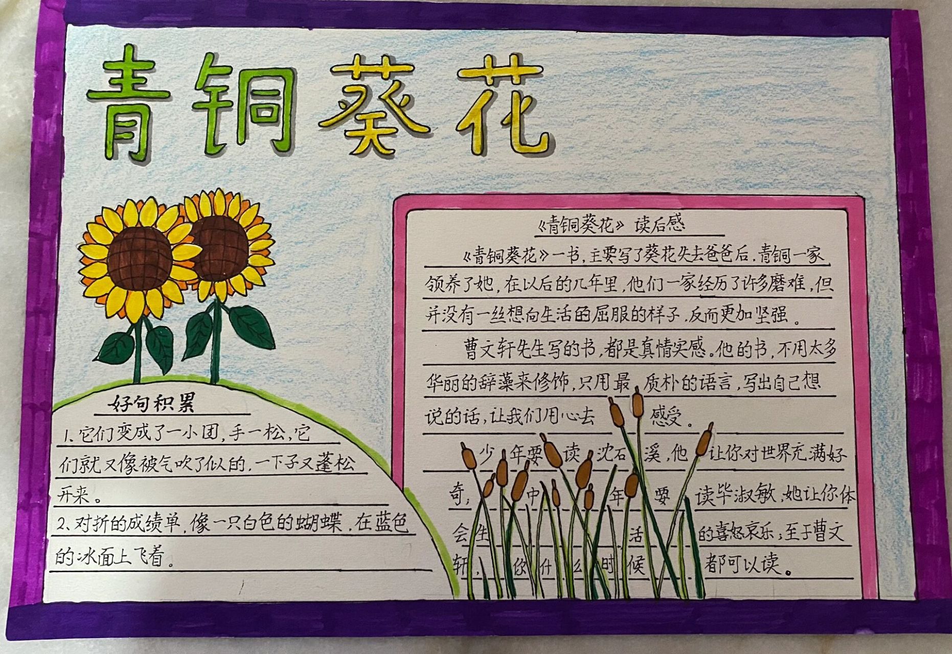 青铜葵花读书卡四年级图片