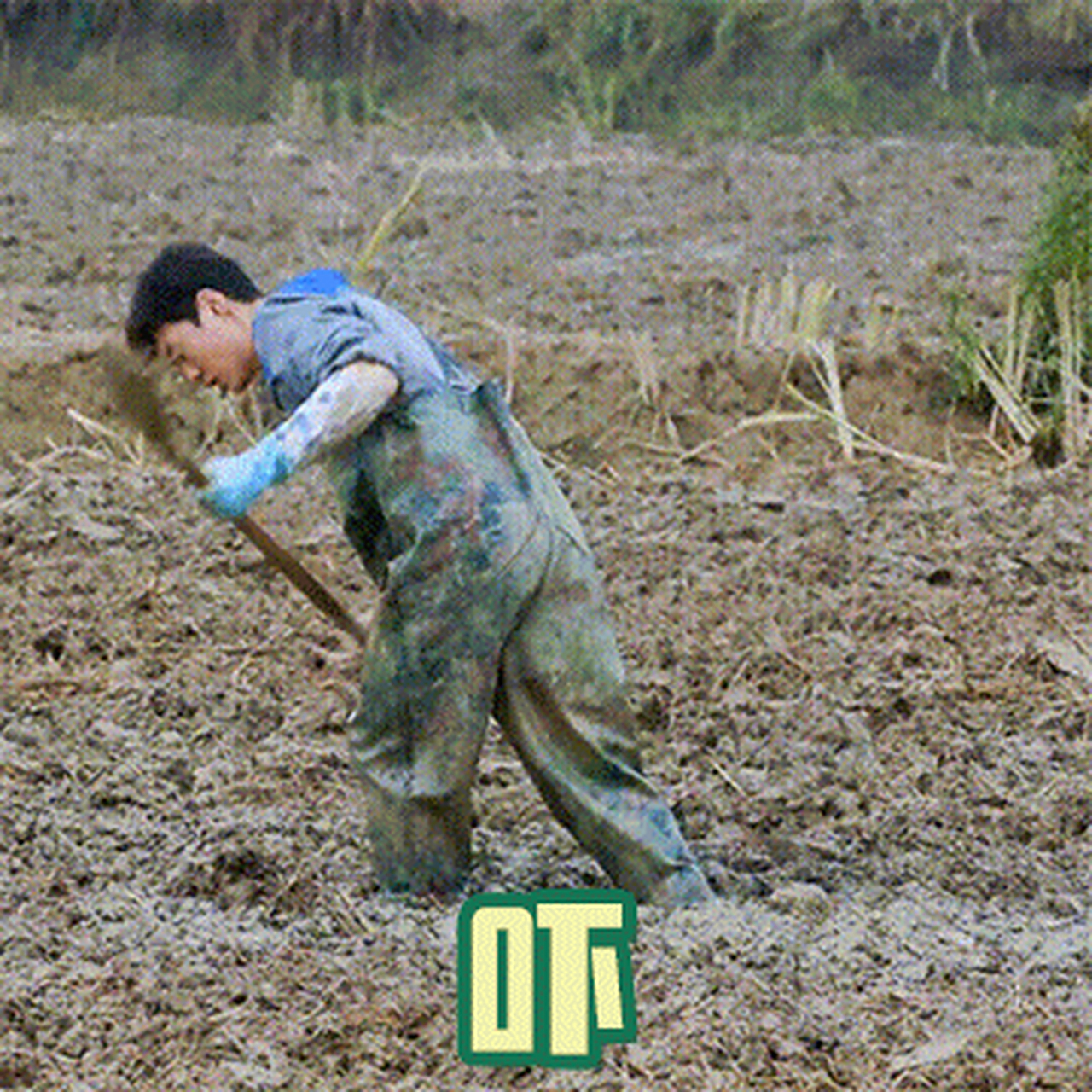 种地吧表情包大赛# 小种子来参赛啦!