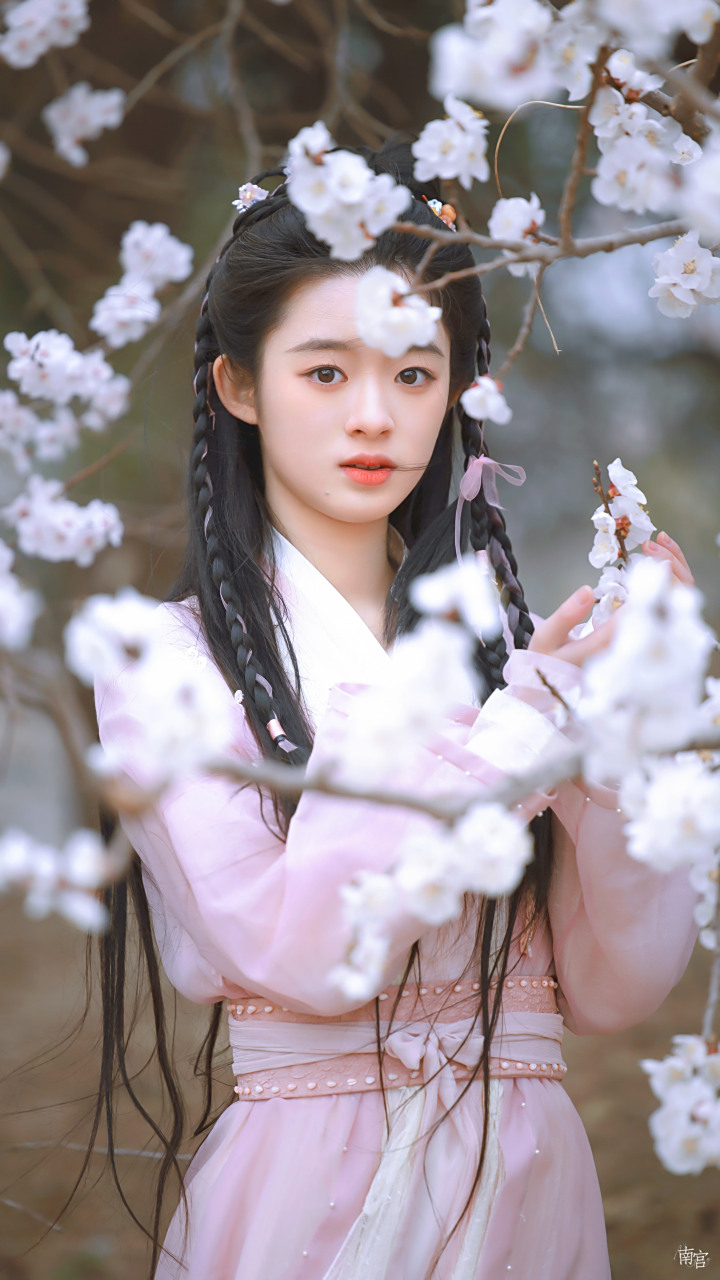 黄杨钿甜 | 🌸💕