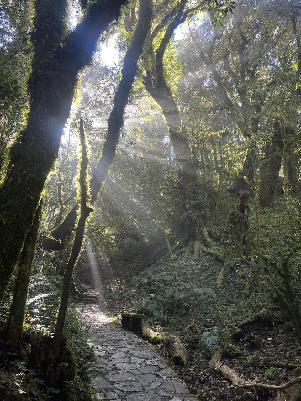 云南八大山脉图片