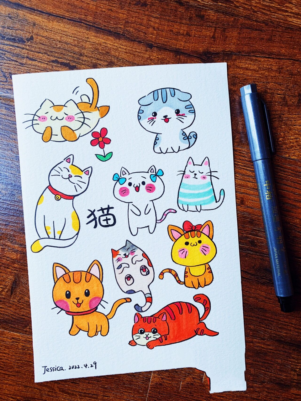 小猫主题简笔画素材线稿及上色图片 萌翻的喵星人手绘简笔画