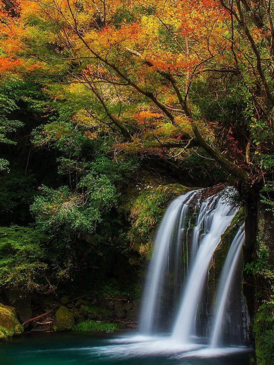 河津七滝巡游,第一次见到这么多小瀑布!