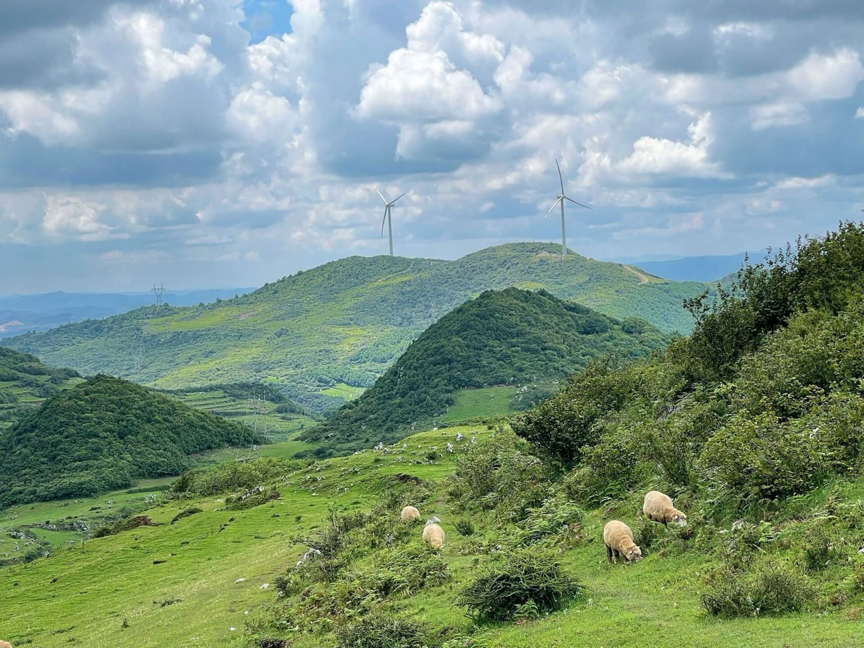 贵州冷门游:毕节威宁草海&百草坪 天苍苍,野茫茫,风吹草低见牛羊.