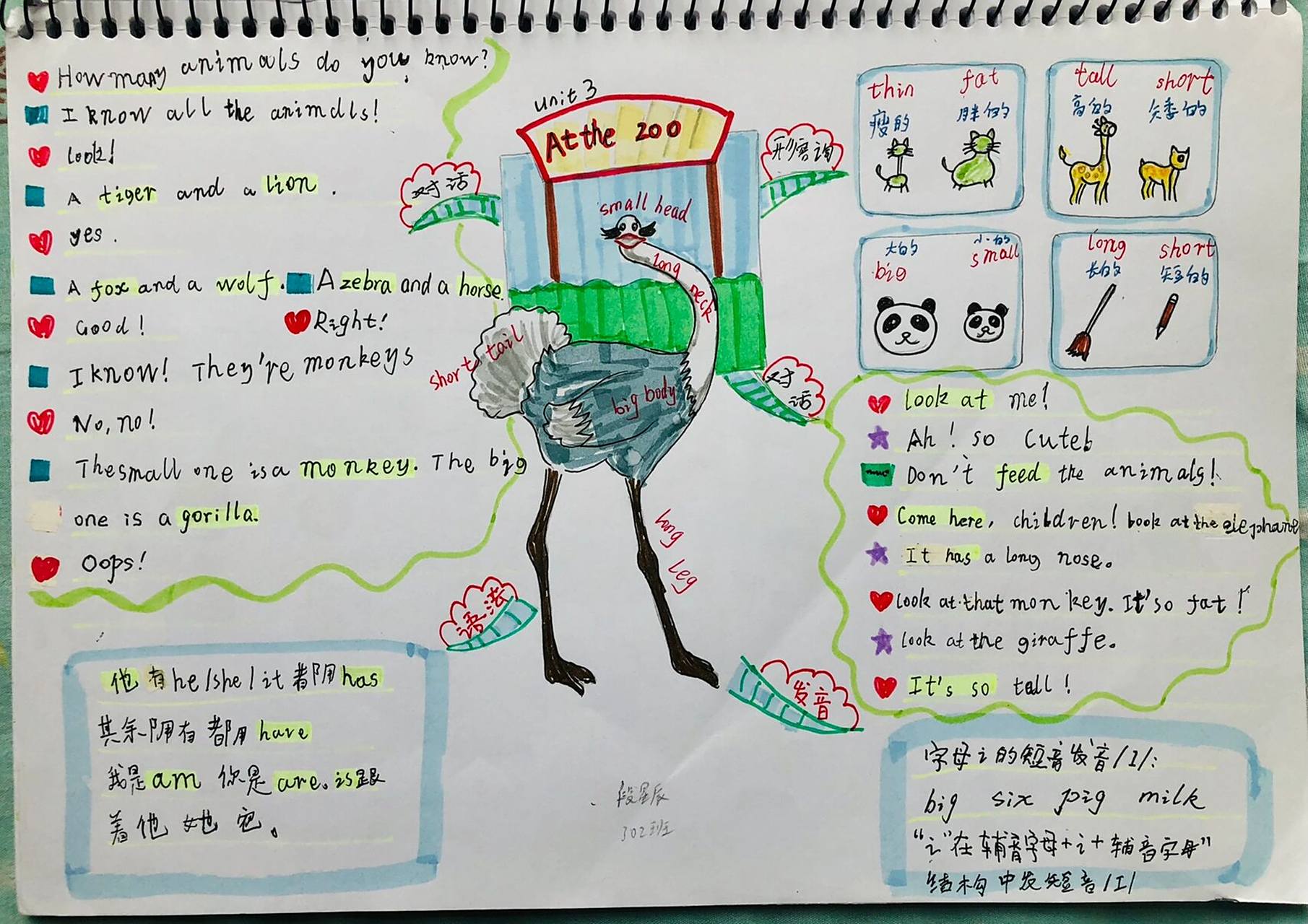 小学三年级下册英语思维导图第三单元 哥哥小辰子vs弟弟小宇巴做的