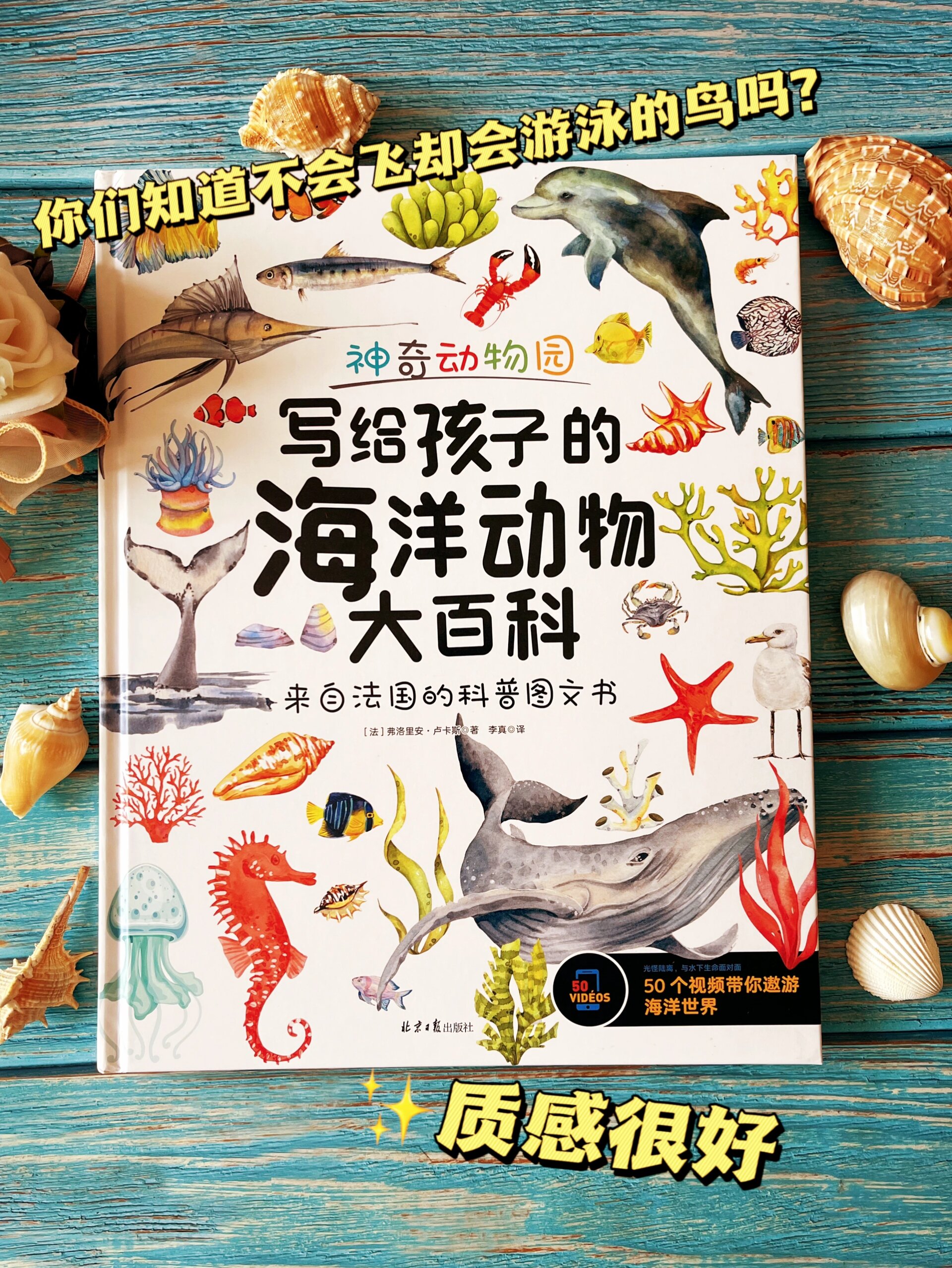 跟这本书去旅行|写给孩子的海洋动物大百科 首先先表白这本书的封面
