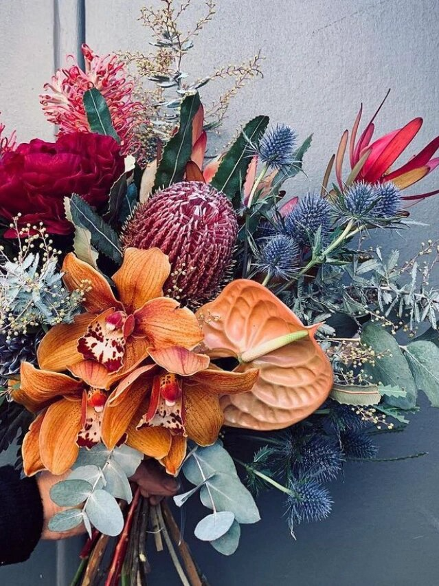 不一样的鲜切花70 | 海滨刺芹