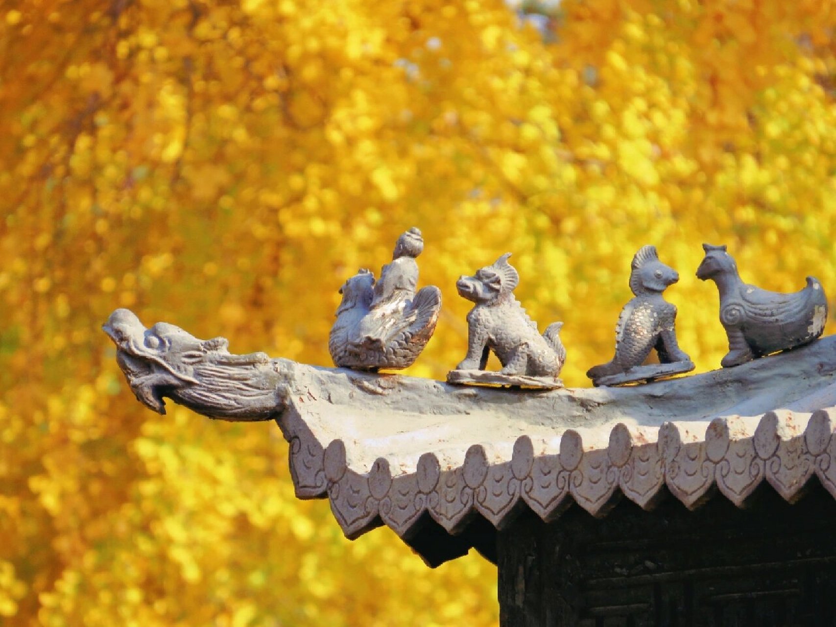 南京古惠济寺|千年银杏不负秋 949494 南京浦口古惠济寺,始建于