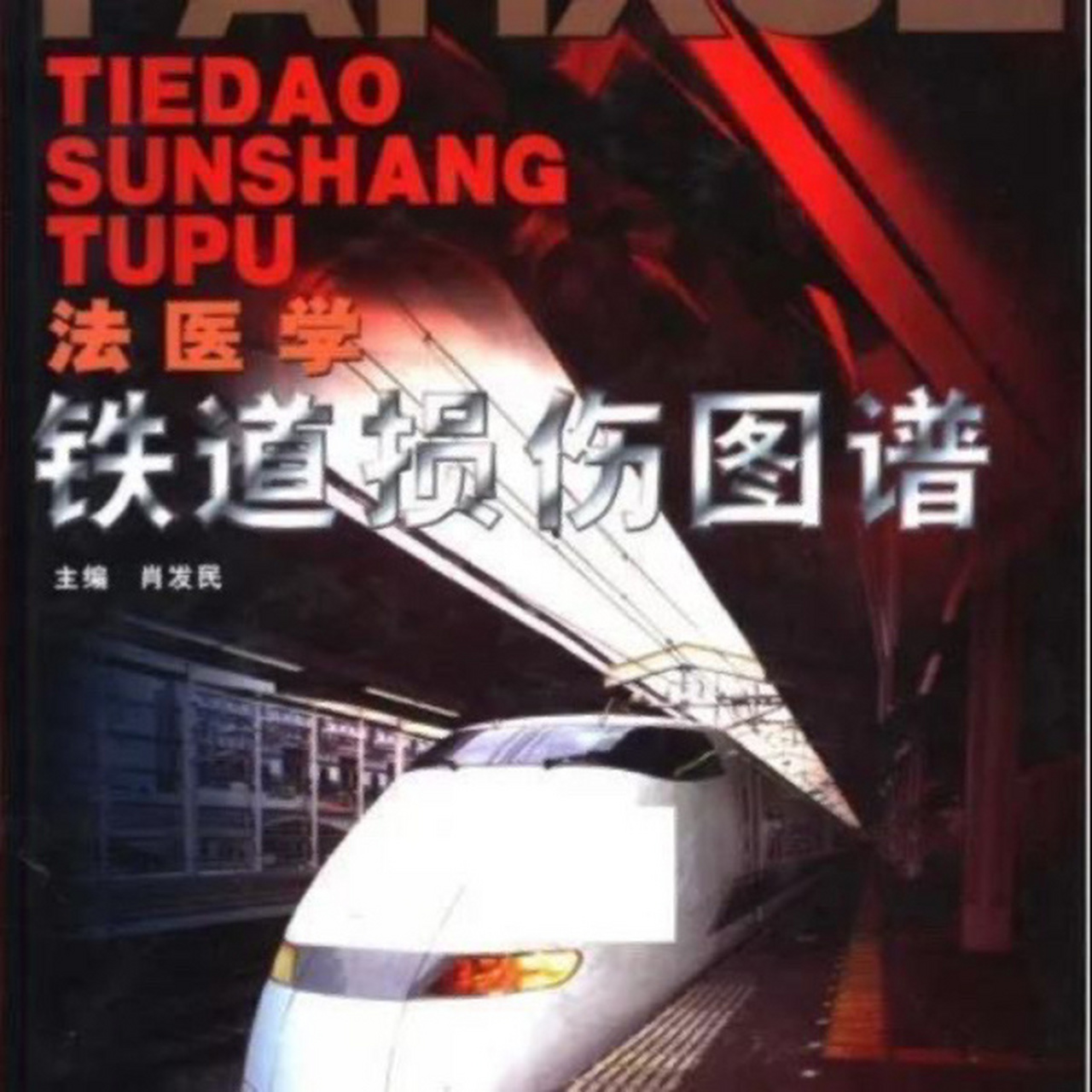 铁道损伤图谱pdf 铁道损伤图谱 彩色法医学素材高清实拍铁路pdf电子书