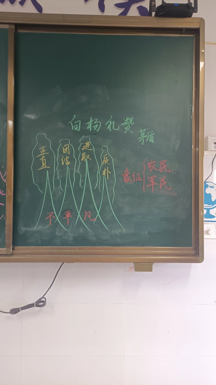 白杨板书图片