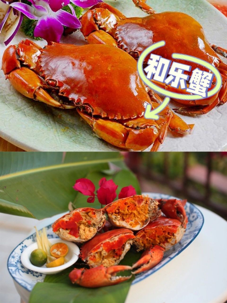 海南四大特色美食图片