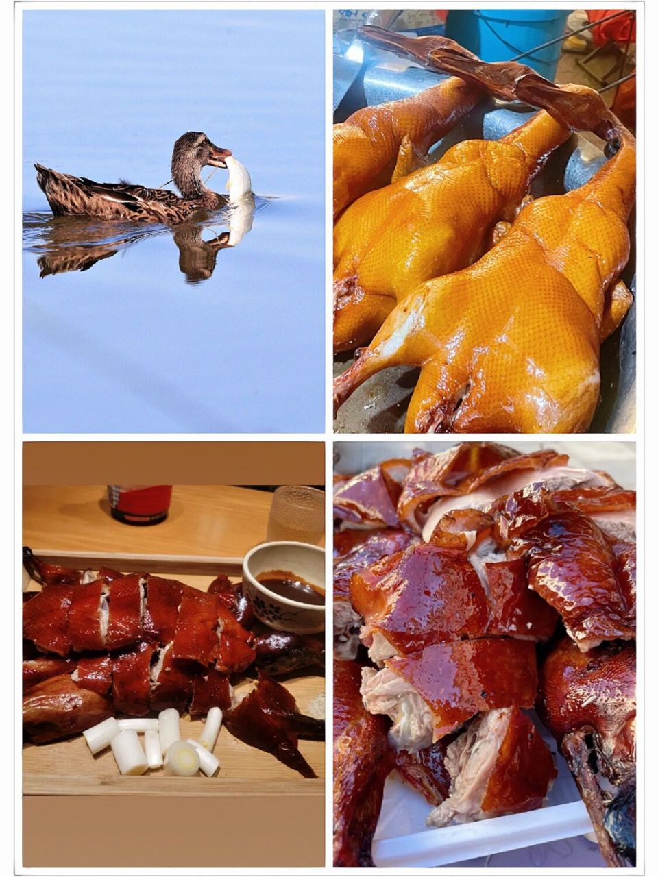 宜良烤鸭 云南人吃鸡讲究壮,吃鸭讲究小.