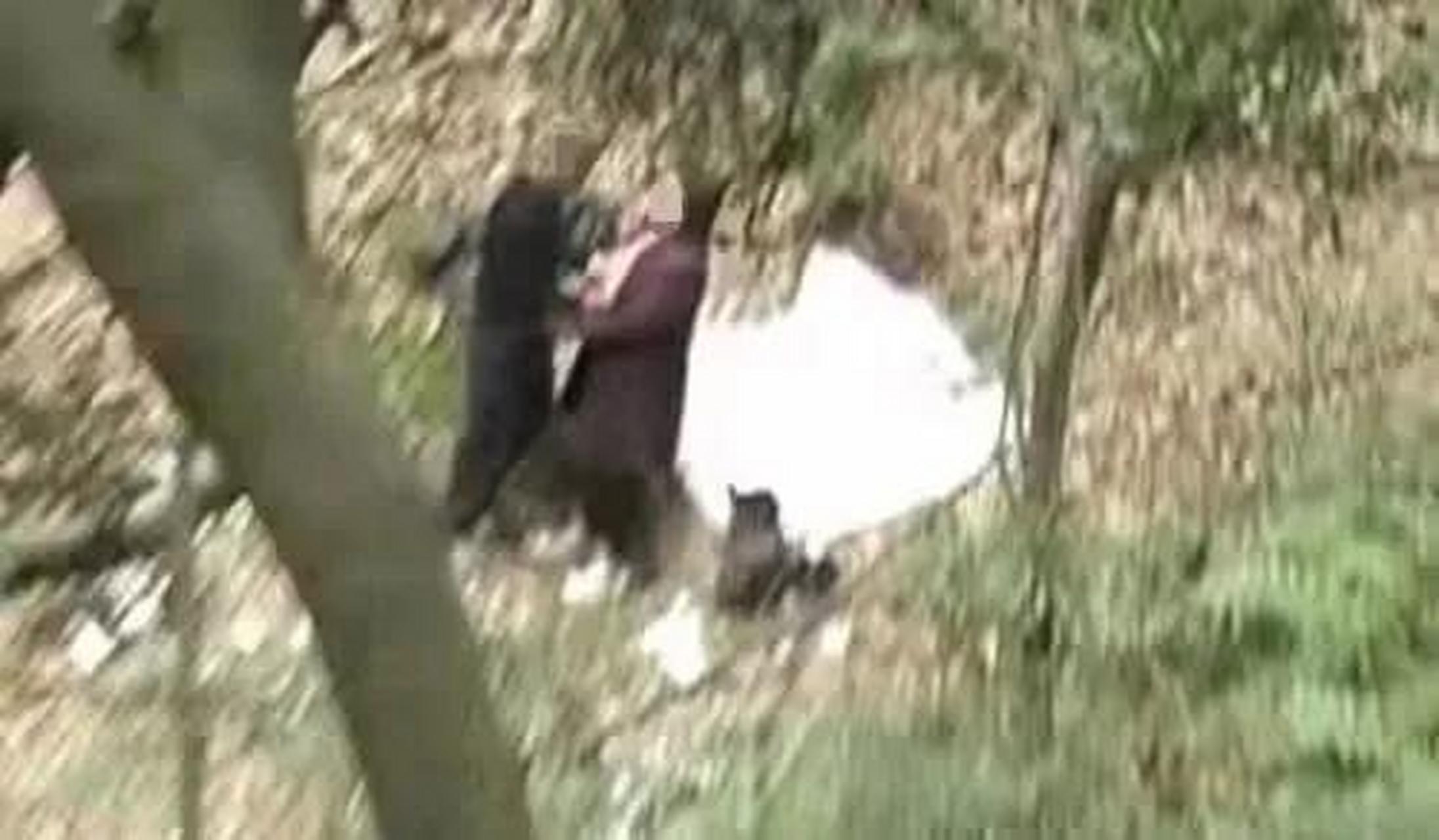 "20元一次,排队交易",大妈小树林提供性服务:欲望泛滥到底有多可怕?