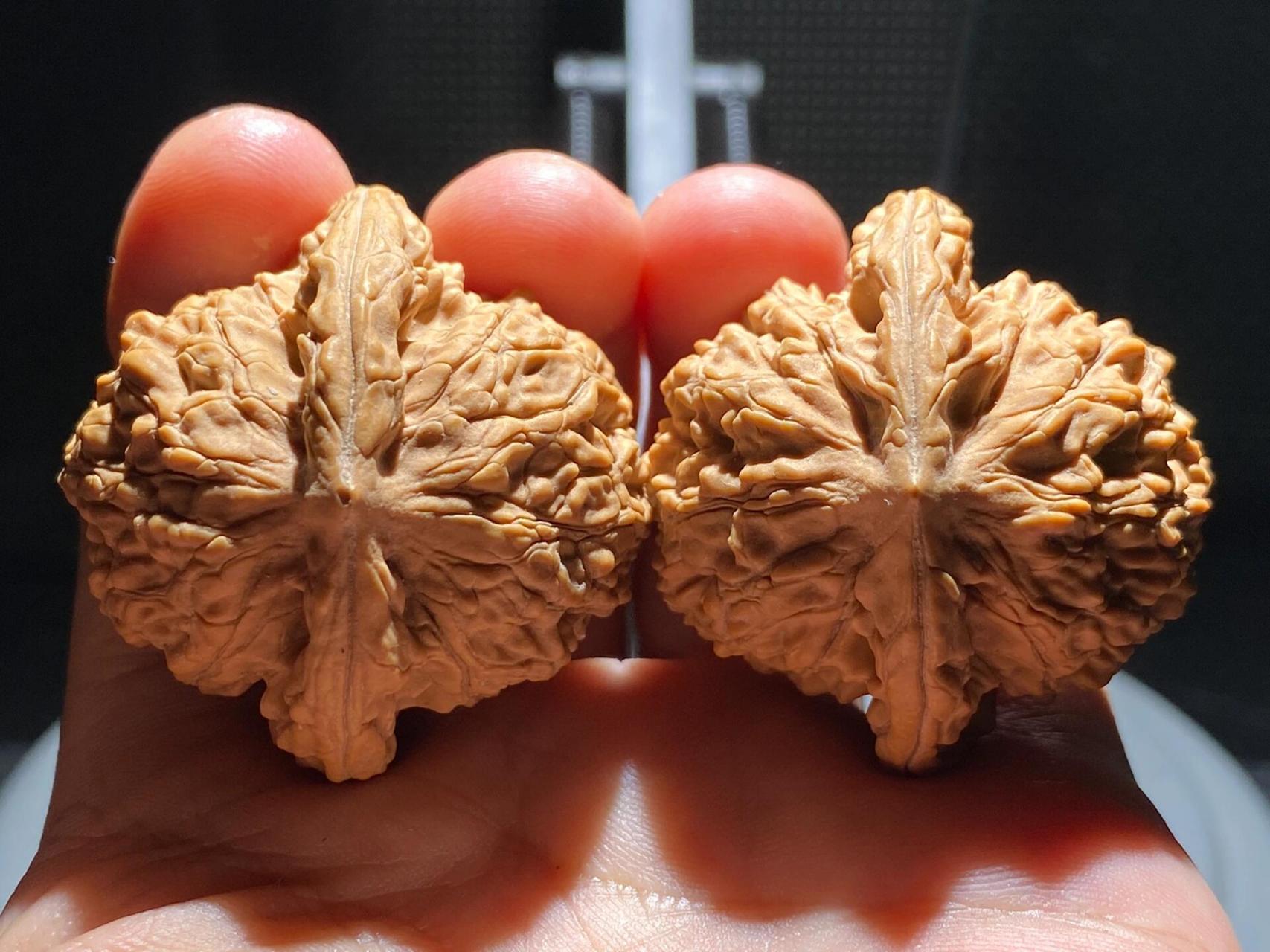 手汗大玩什么核桃不走酱717515 霞云岭狮子头也是一款以产地