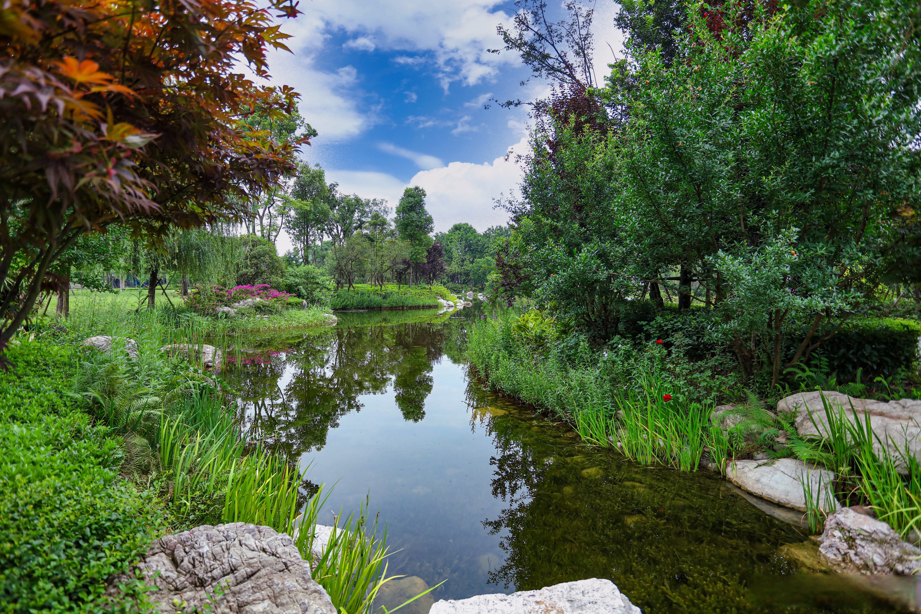 池塘边上,知了声起;生态酒厂,绿荫繁盛