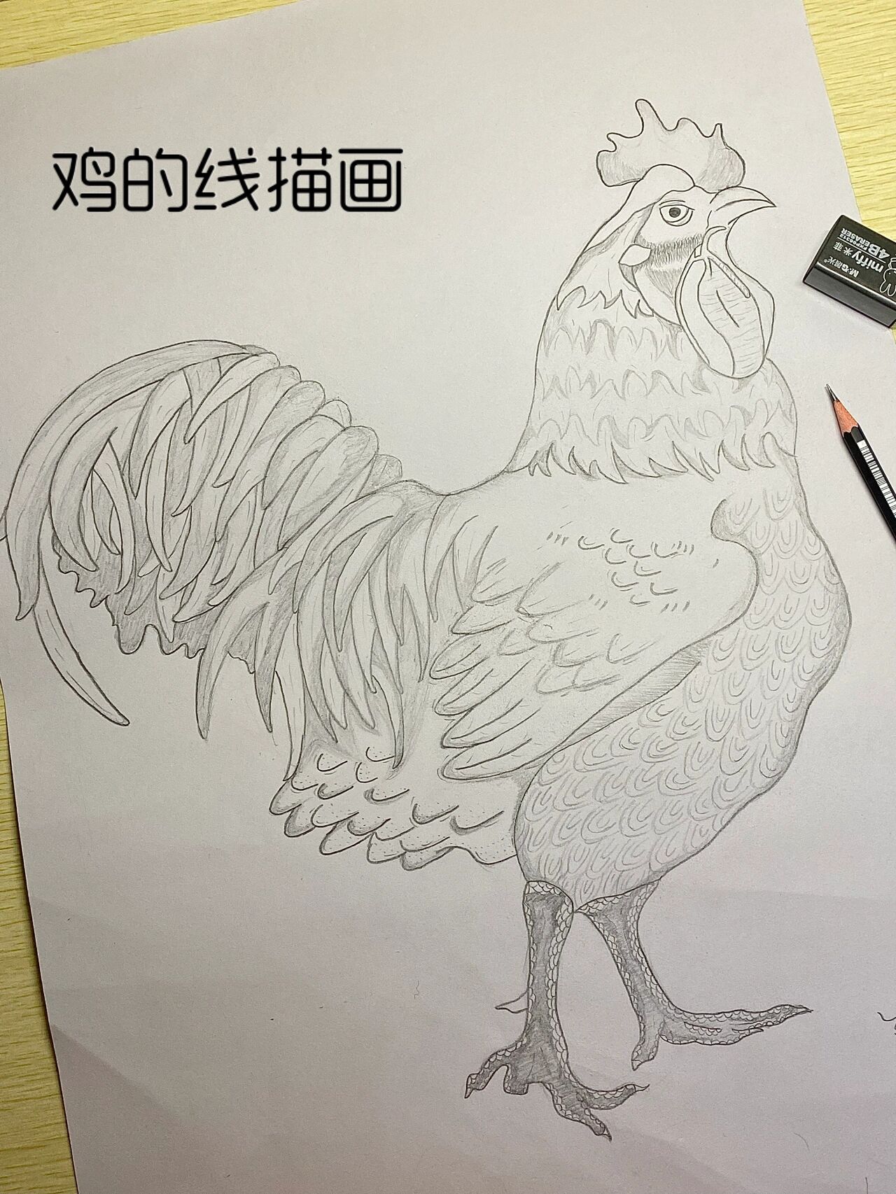 零基础线描画95