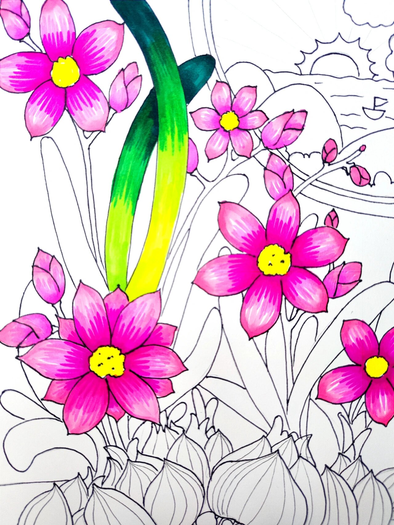 创意美术教程8-9岁|《水仙花》线描 马克笔 主题《水仙花》 课程类型