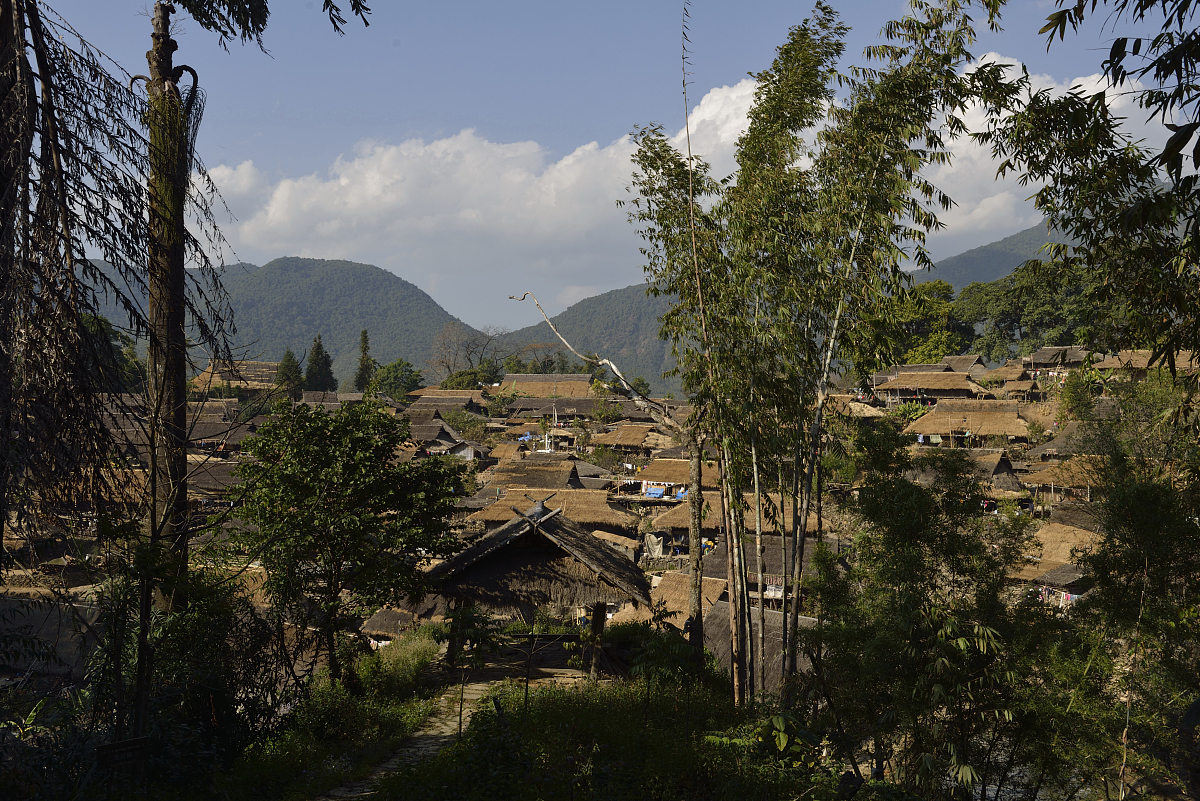 宝子们,你们听过普洱的景迈山吗?