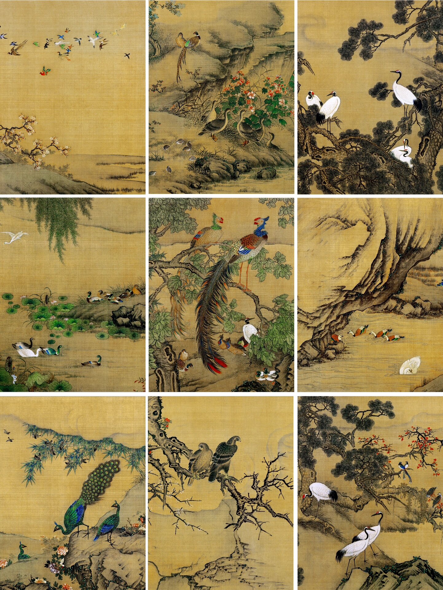 百鸟朝凤图卷 清代画家沈铨绘制