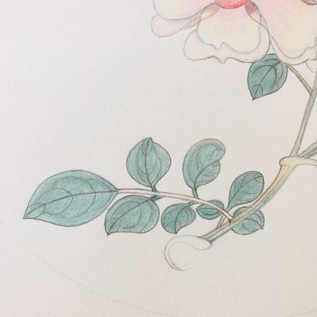 这幅画上色比较简单,适合初学者练习; a3素描纸; 擦纸笔; 辉柏嘉60色