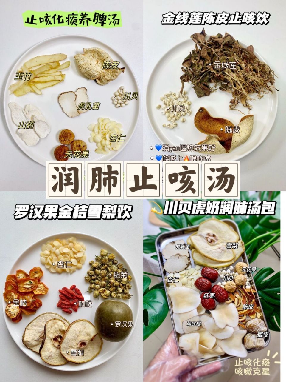 1,止咳化痰养脾汤 虎乳菌 陈皮 山药 川贝 杏仁 无花果 玉竹 虎乳