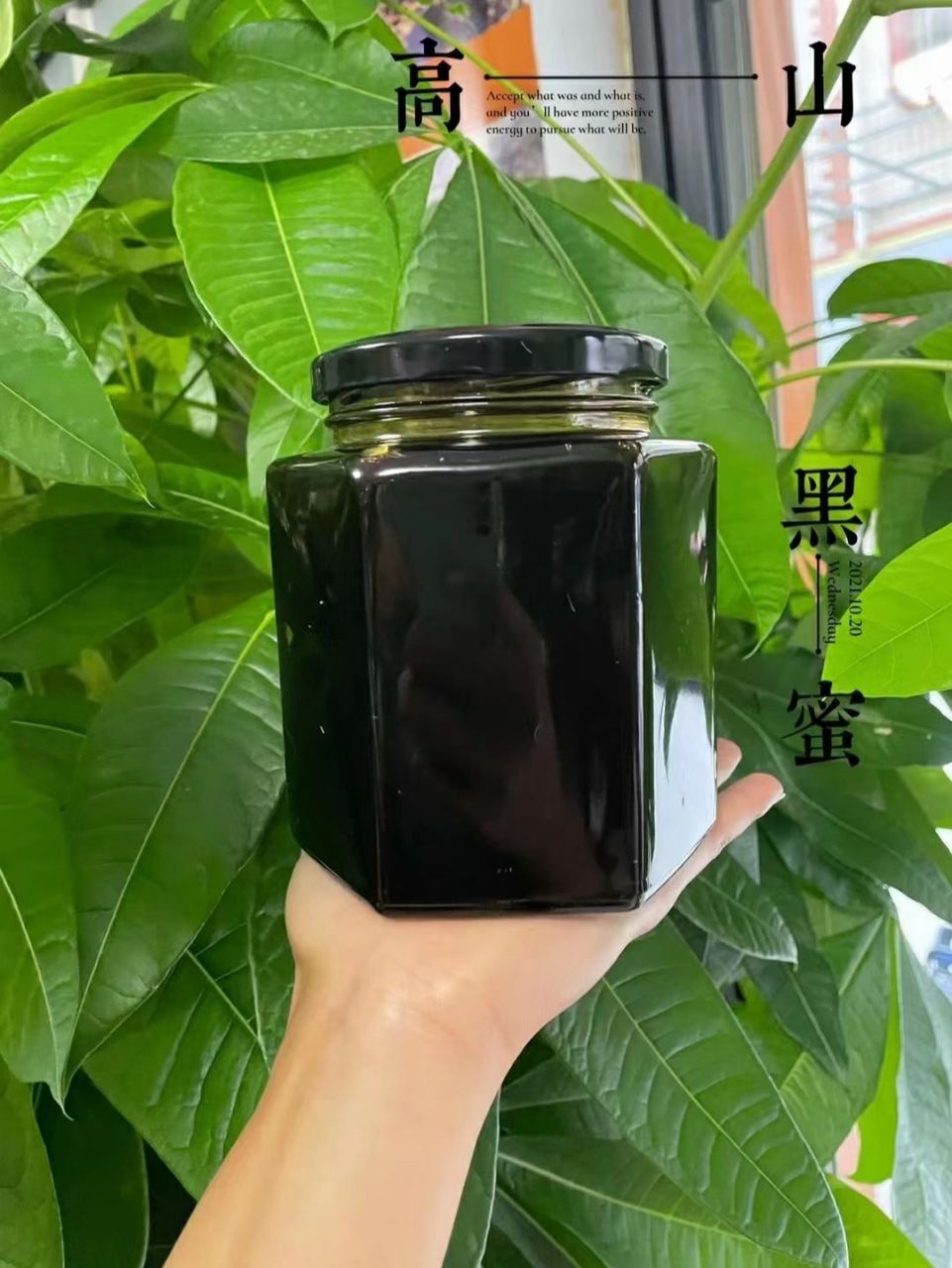 细说野生米团花黑蜂蜜 野生高山黑蜜为什么是黑色的?