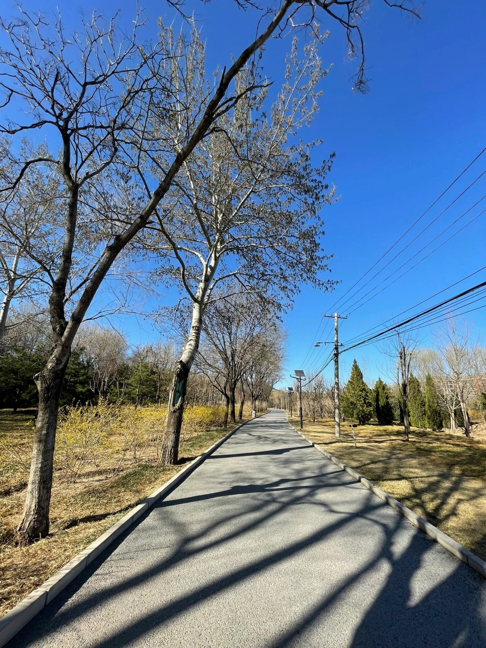 继续探索京西十三园,京西十三园包括:畅春新园,海淀公园,北坞公园