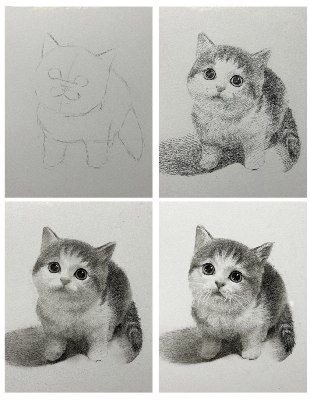 猫的素描全身图片