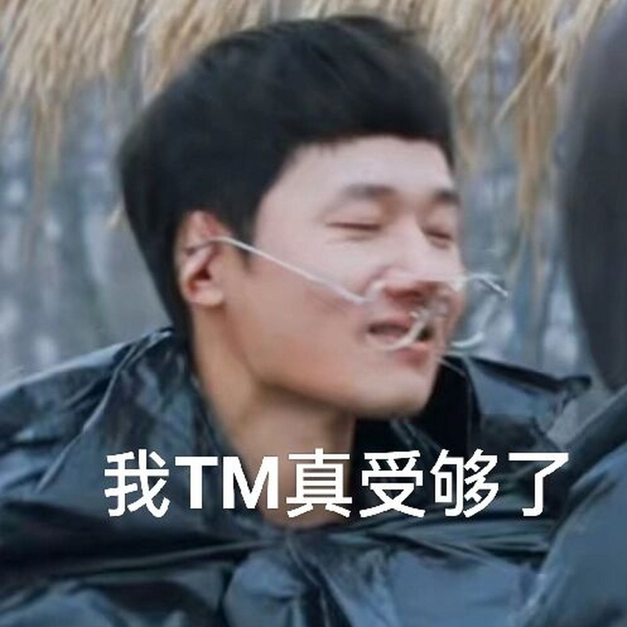 种地吧●表情包