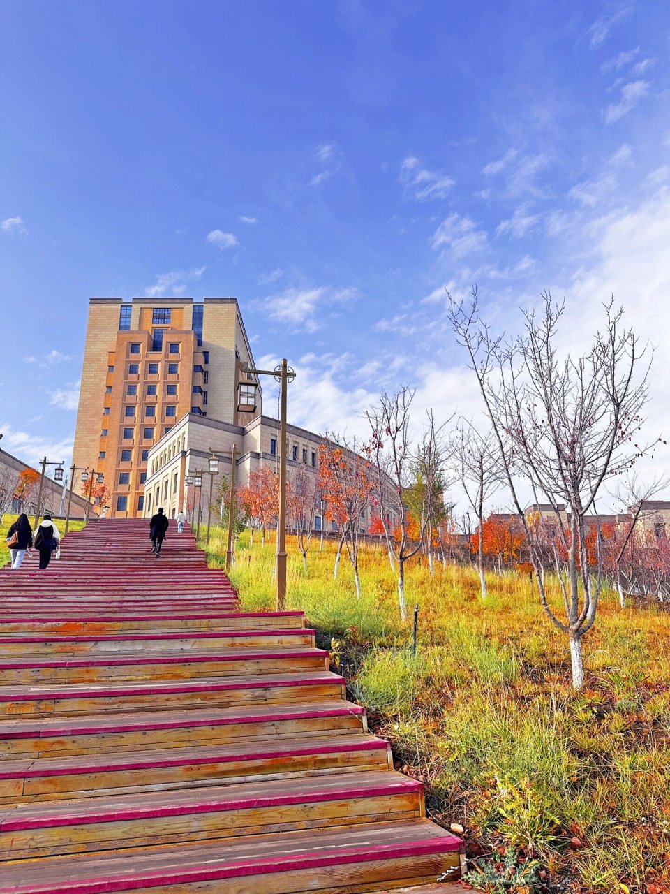 新疆师范大学图片