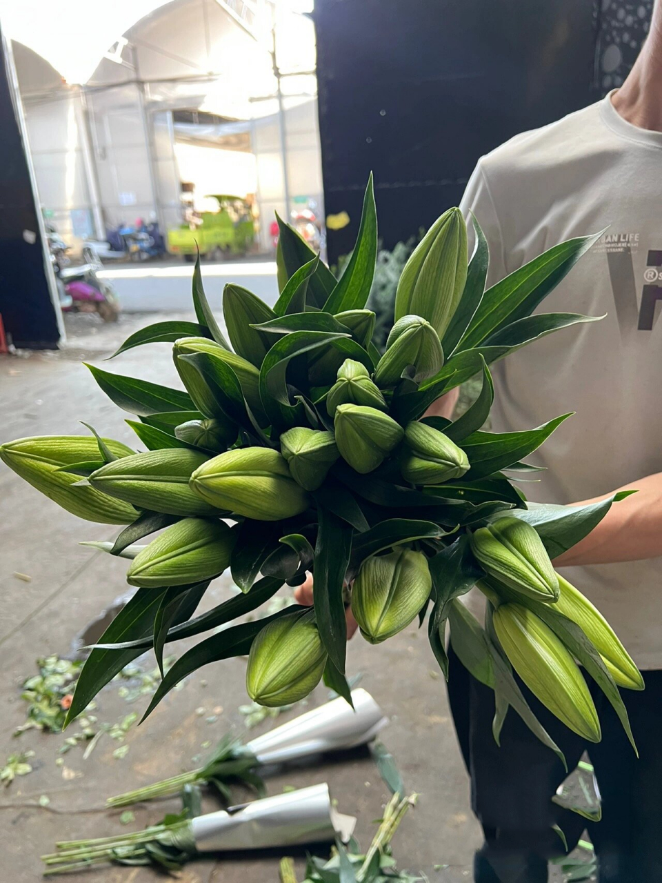 百合之王95黄天霸香水百合96花苞硕大香味浓 一丝清新淡雅 ,馥郁