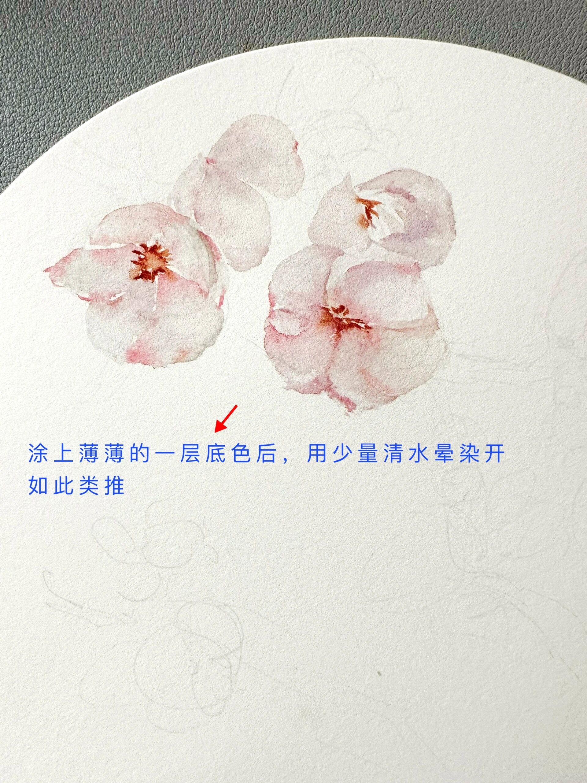 古风水彩花卉|淡雅优美杏花教程(附步骤