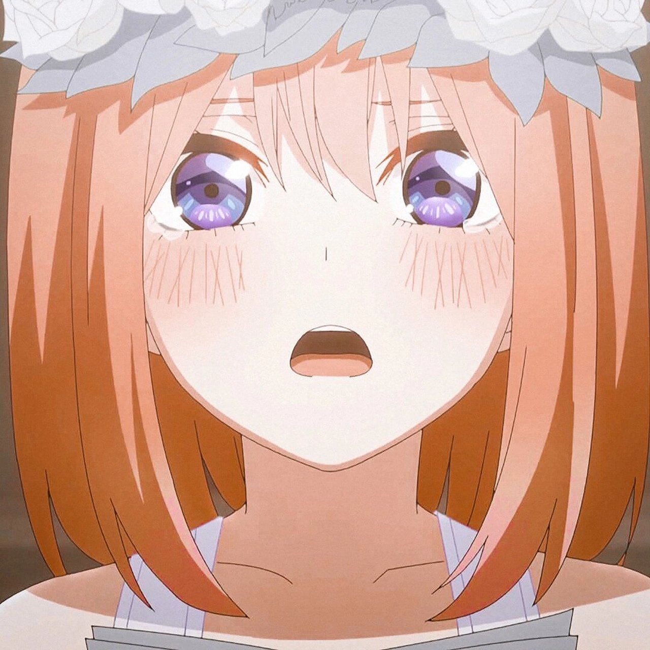 动漫头像〕中野四叶 | 五等分的花嫁 自截自修 | 礼貌拿图 | 禁赌改