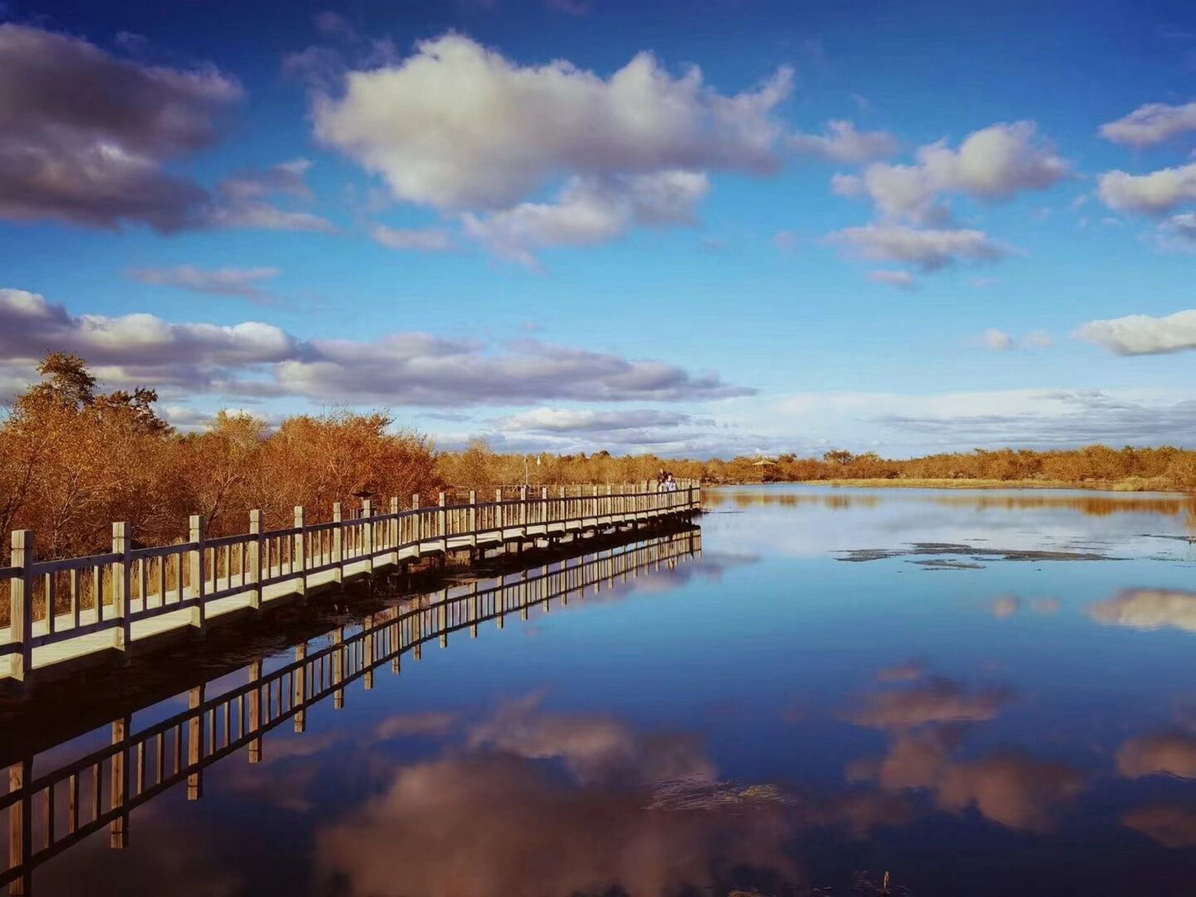汤旺河5a级国家奇石森林公园 汤旺河国家公园坐落于黑龙江省伊春市汤
