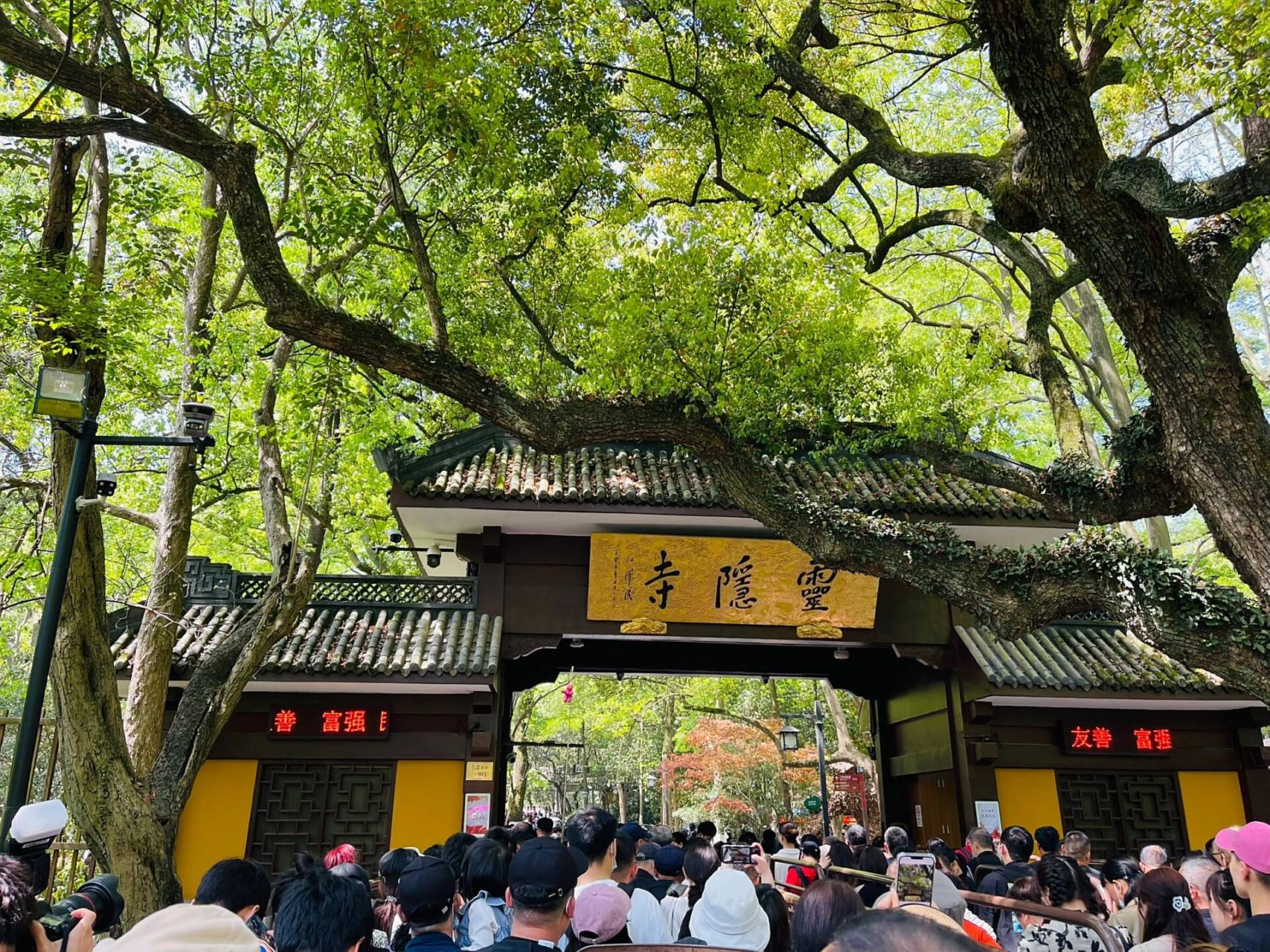刚刚走完北高峰索道-财神庙-韬光寺-永福寺-灵隐寺-法喜寺一圈,特意去