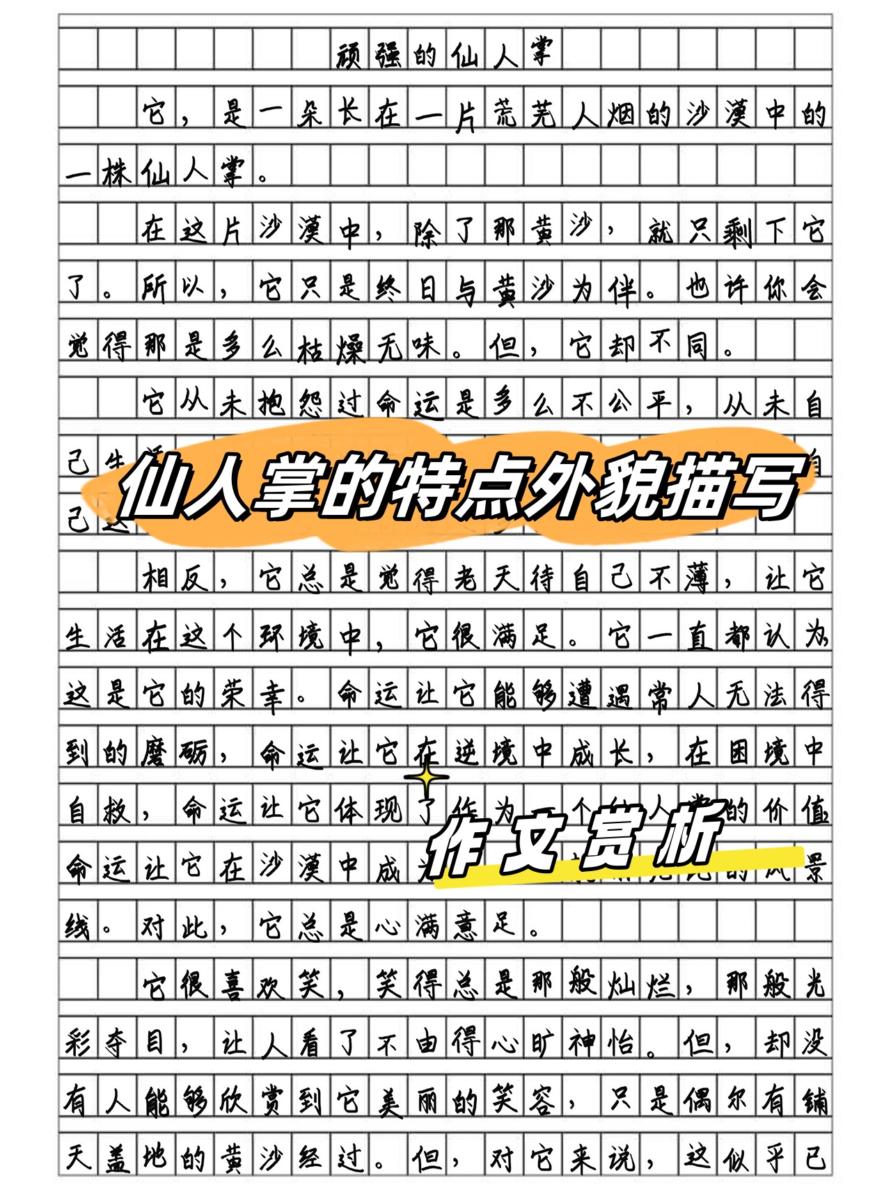 仙人掌的样子写字图片