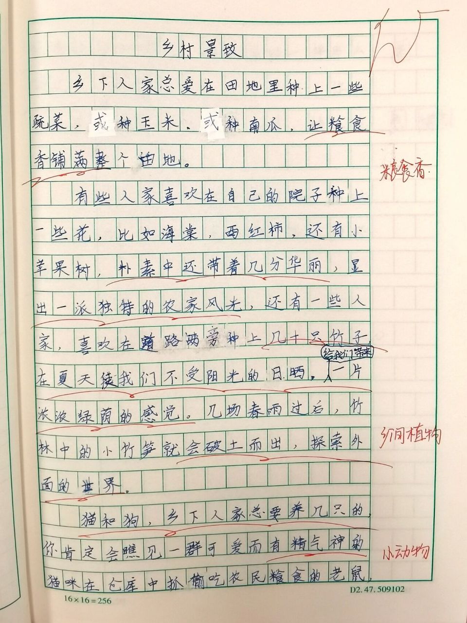 乡下的风景作文300字图片