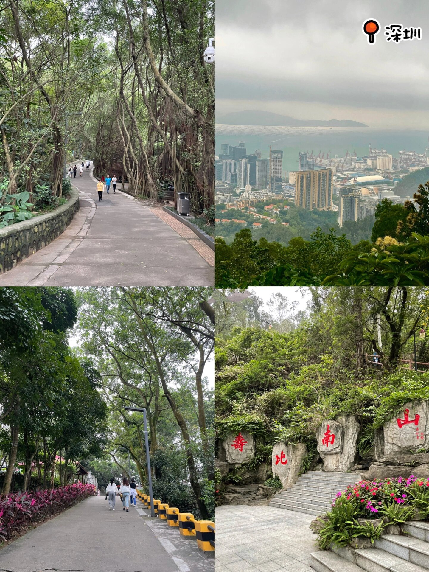 深圳市大南山景点图图片