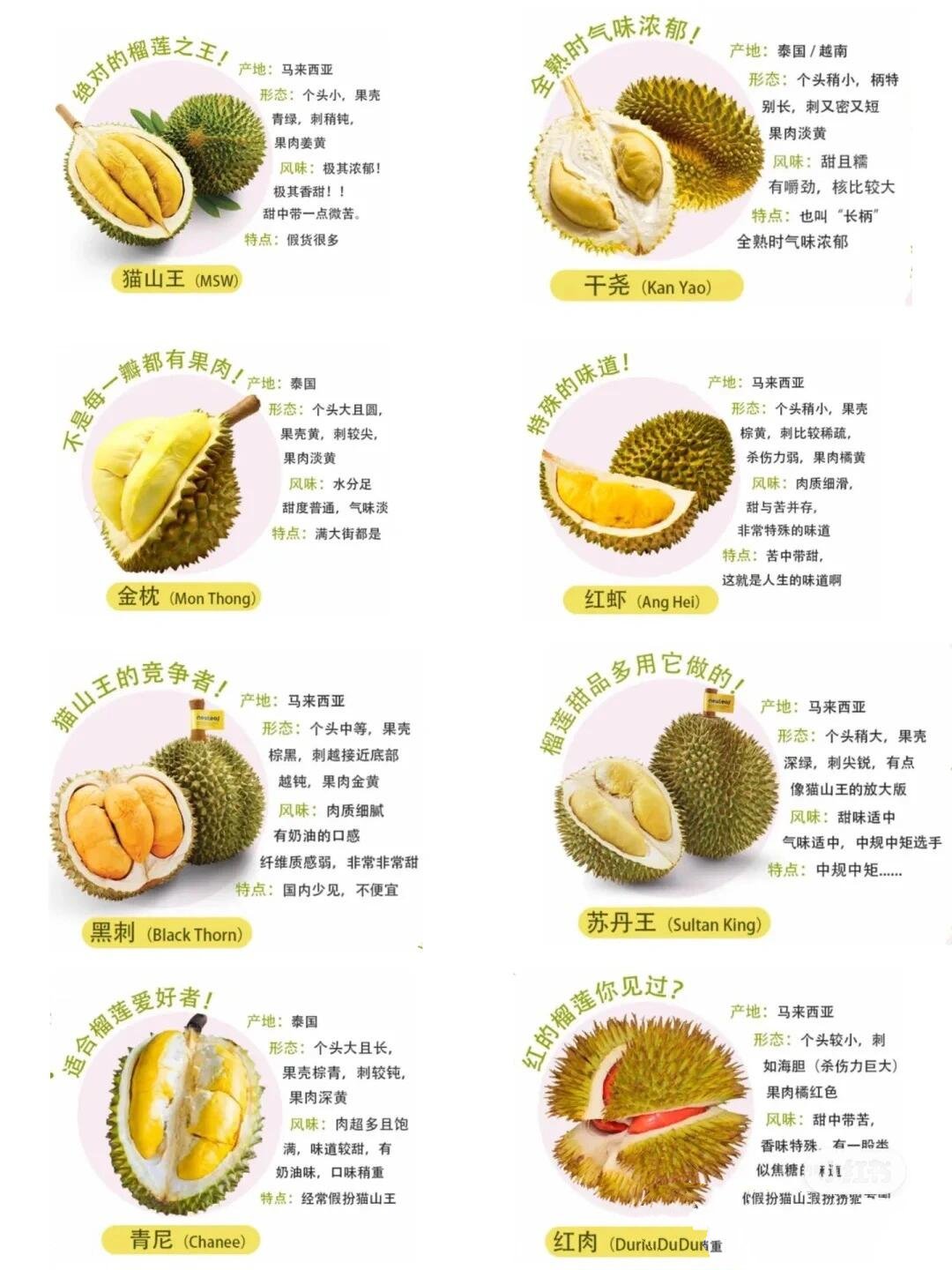你们那边榴莲都多少钱一斤