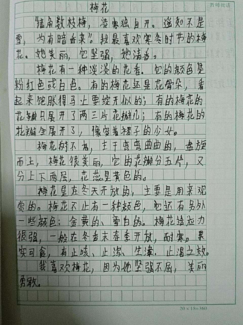 三年级作文我的植物朋友梅花 三年级作文我的植物朋友梅花