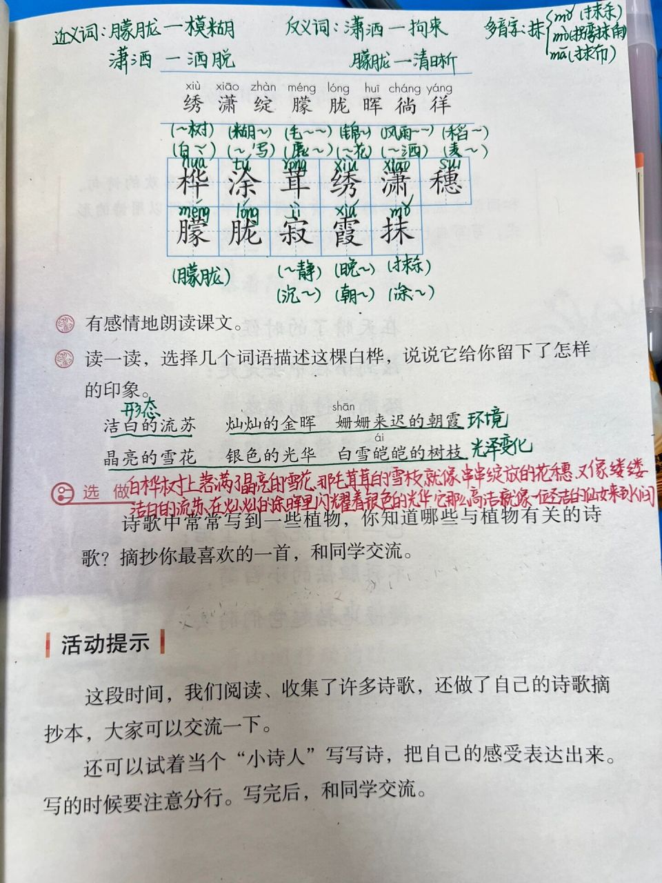 四年级语文下册第11课《白桦》预习97